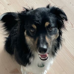 Meet your Posher, Charlotte